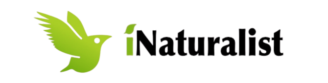 inaturalist Abiental